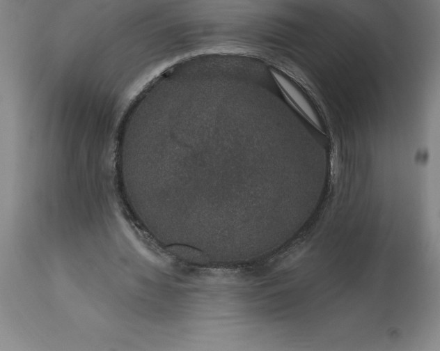 X0000113630436200910021855