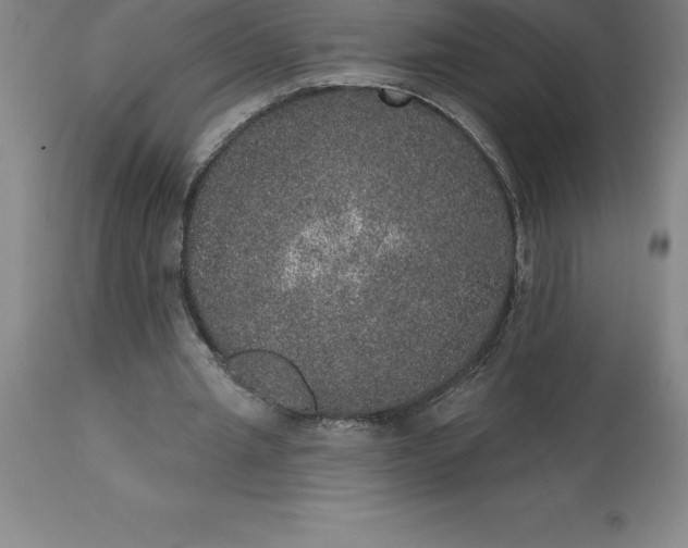 X0000113630437200910021855