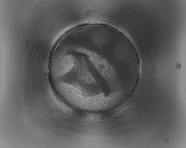 X0000113630438200910021855