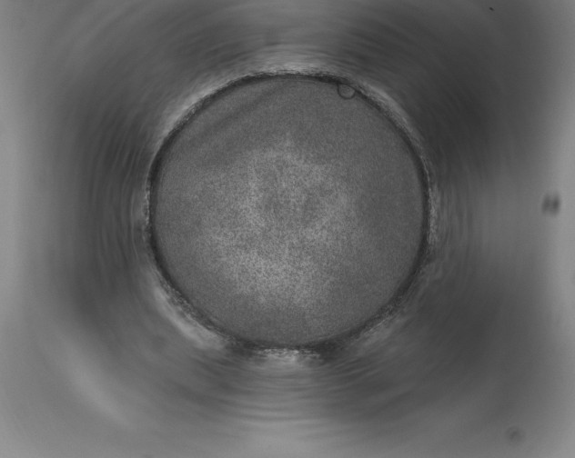X0000113630439200910021855