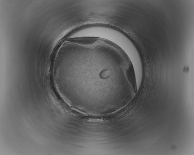 X0000113630440200910021855