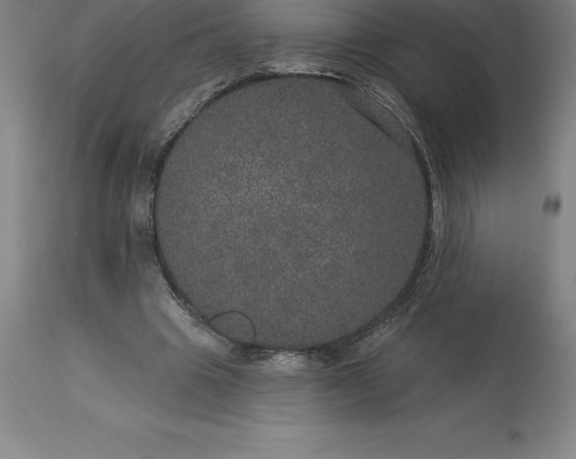 X0000113630441200910021855
