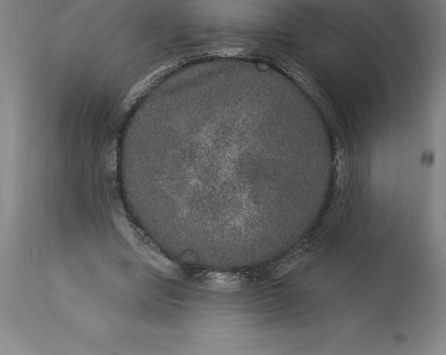 X0000113630442200910021855