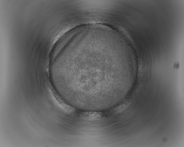 X0000113630443200910021855