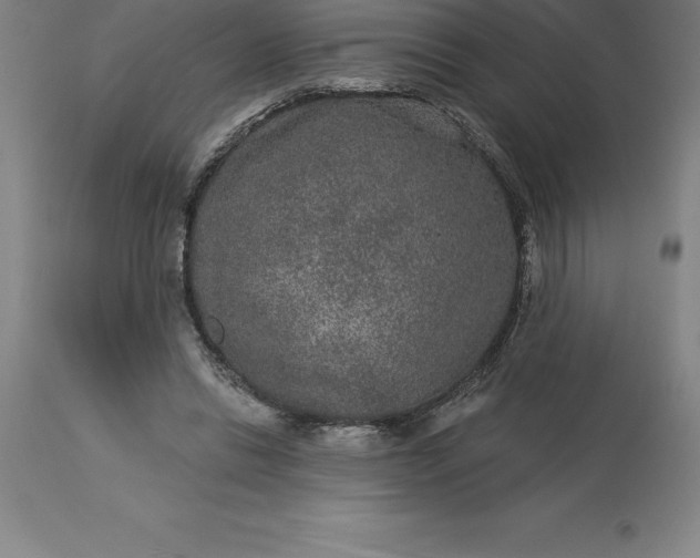 X0000113630446200910021856