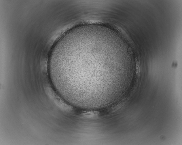 X0000113630447200910021856