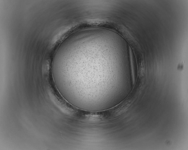 X0000113630448200910021856