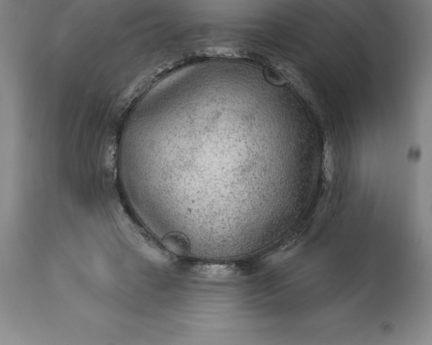 X0000113630449200910021856