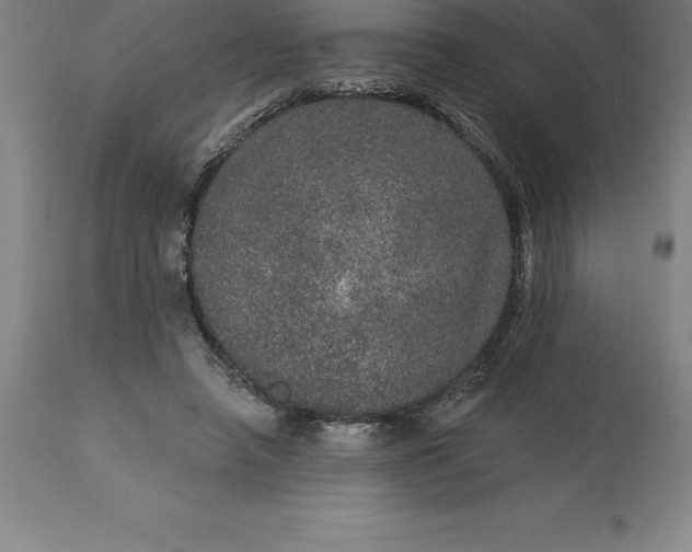 X0000113630450200910021856