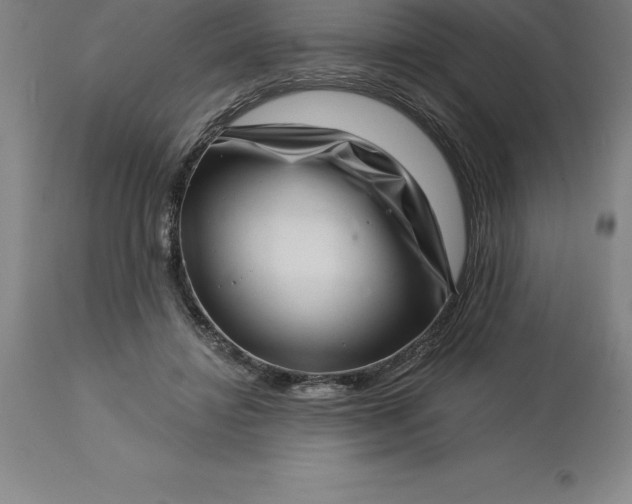 X0000113630452200910021856
