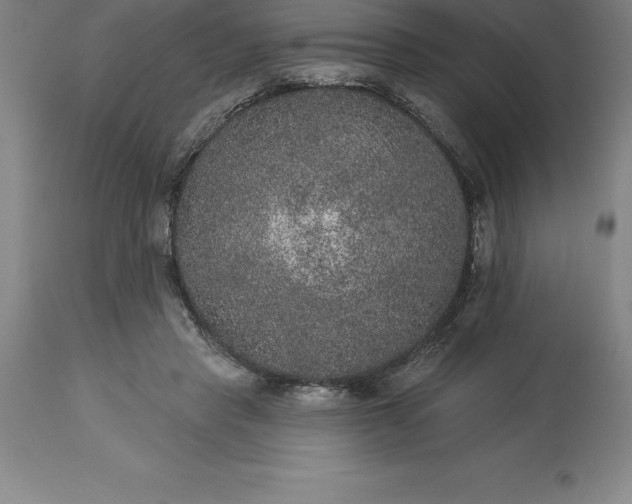 X0000113630453200910021856