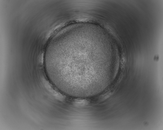 X0000113630454200910021856