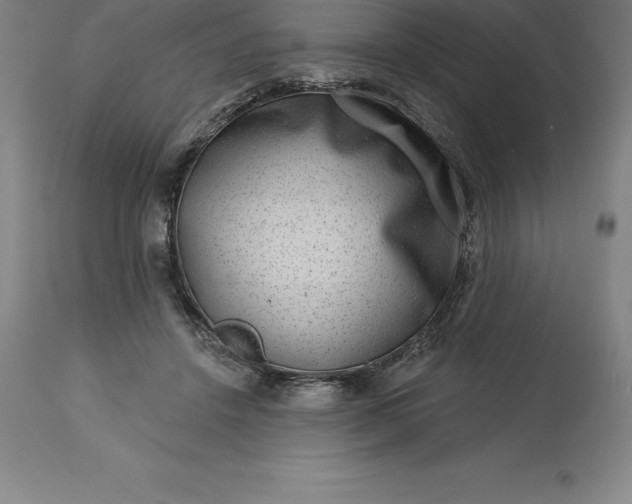 X0000113630456200910021856