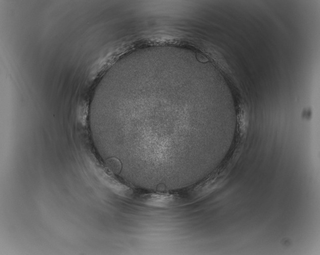 X0000113630458200910021856