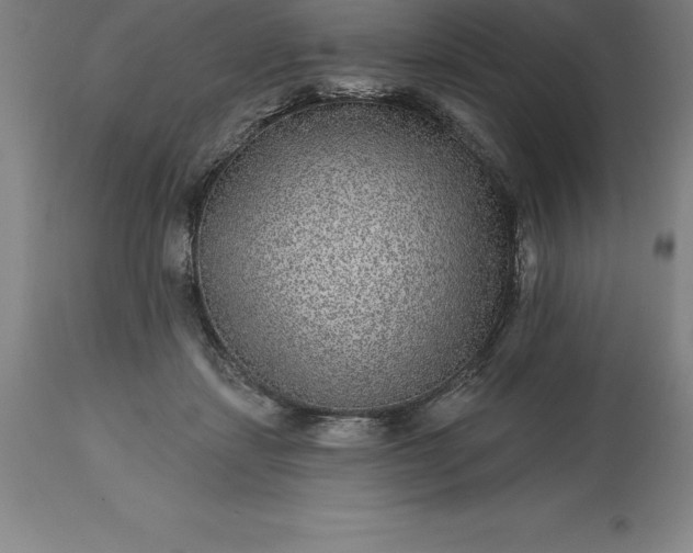 X0000113630459200910021856