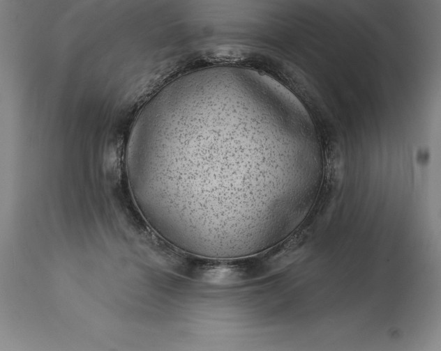 X0000113630460200910021856