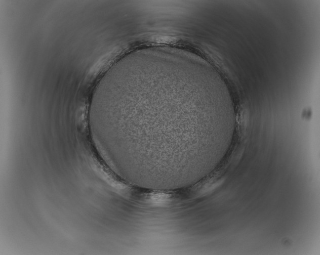 X0000113630462200910021856