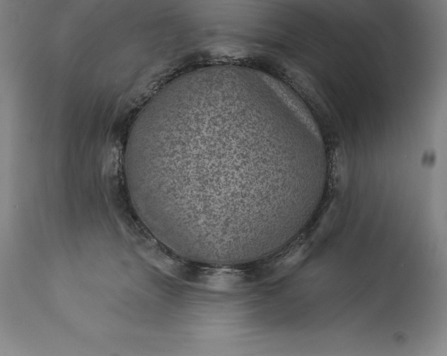 X0000113630463200910021856