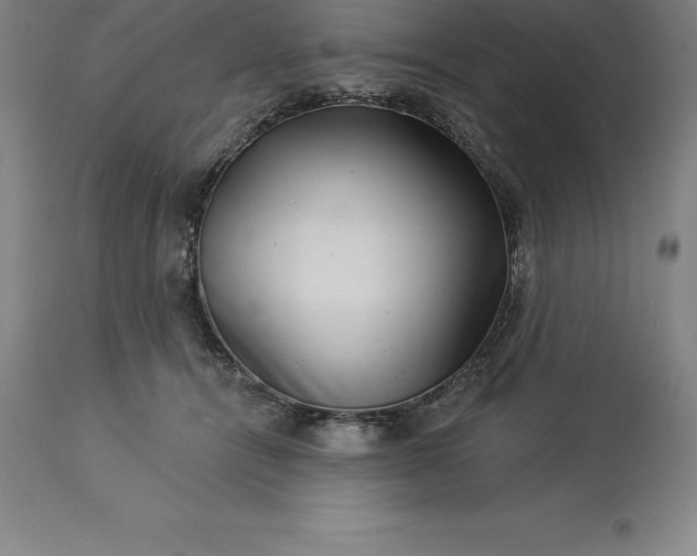 X0000113630464200910021856