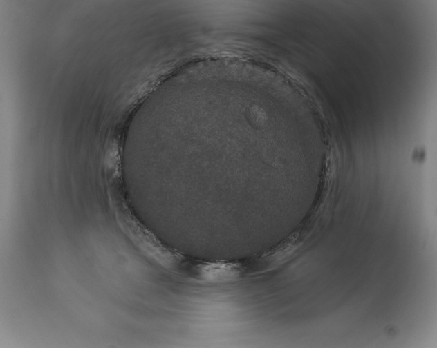 X0000113630465200910021856