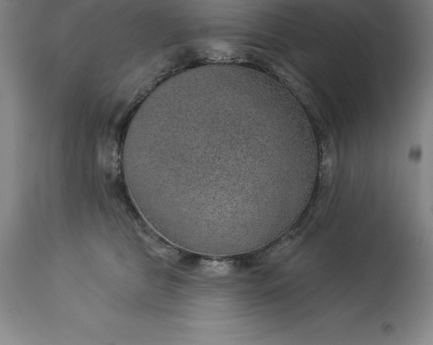 X0000113630469200910021856
