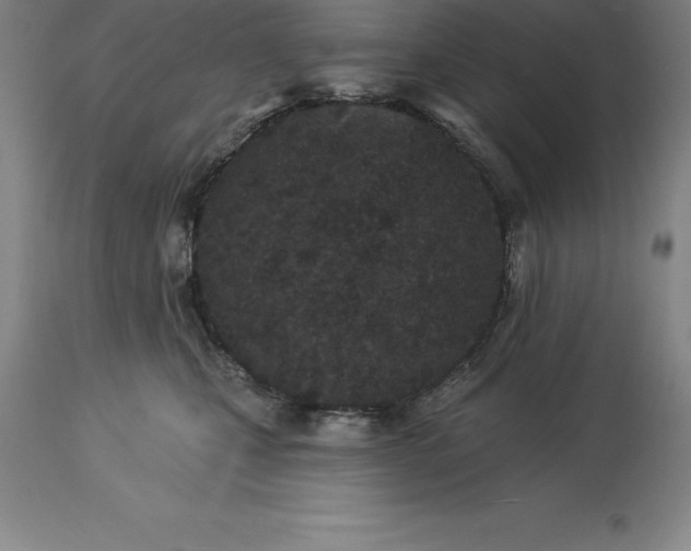 X0000113630471200910021856