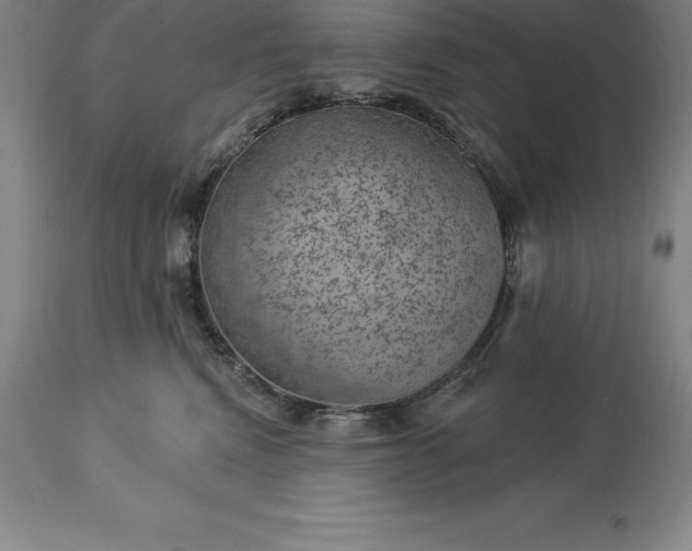 X0000113630472200910021856