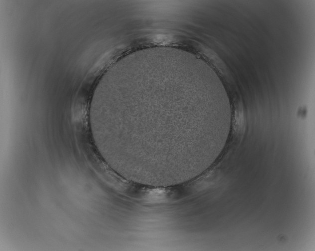 X0000113630473200910021856