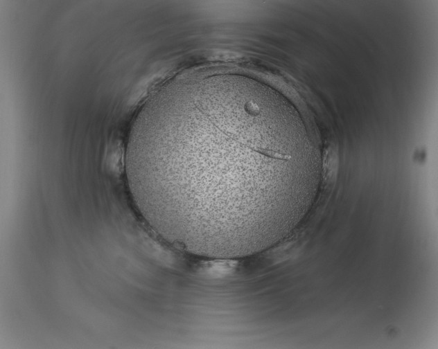 X0000113630474200910021856