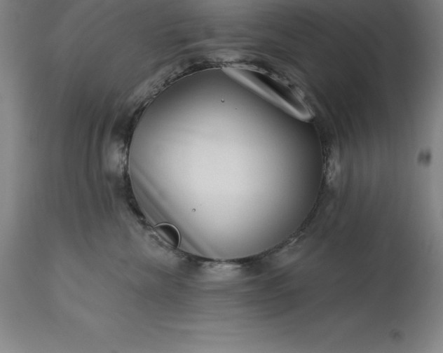 X0000113630476200910021856