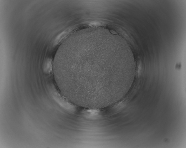 X0000113630478200910021856