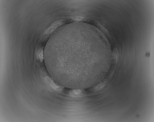 X0000113630479200910021856