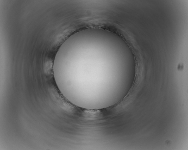 X0000113630480200910021856