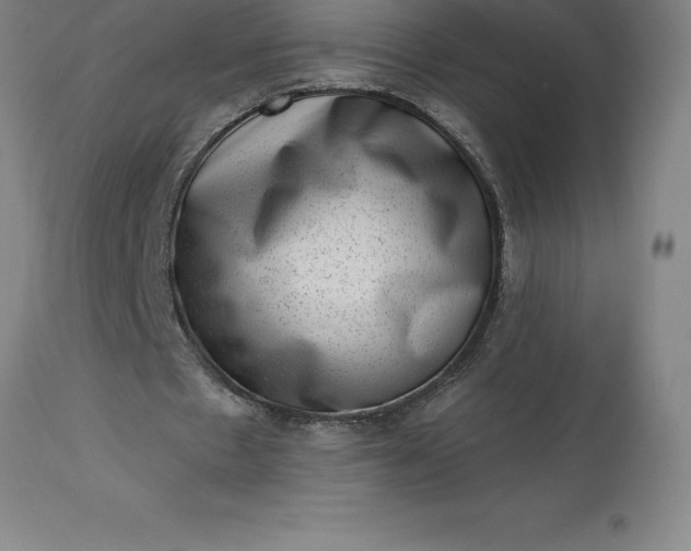 X0000113630481200910021855