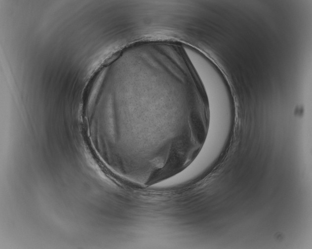 X0000113630485200910021855