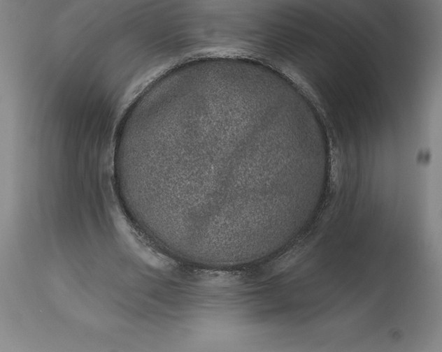 X0000113630486200910021855