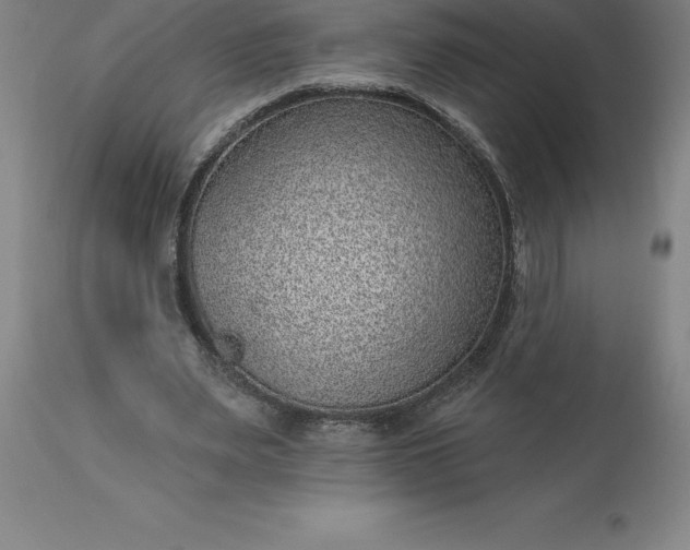 X0000113630487200910021855