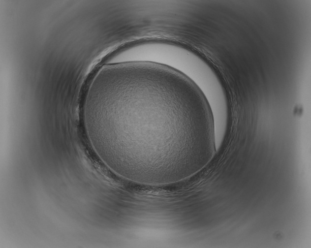 X0000113630488200910021855