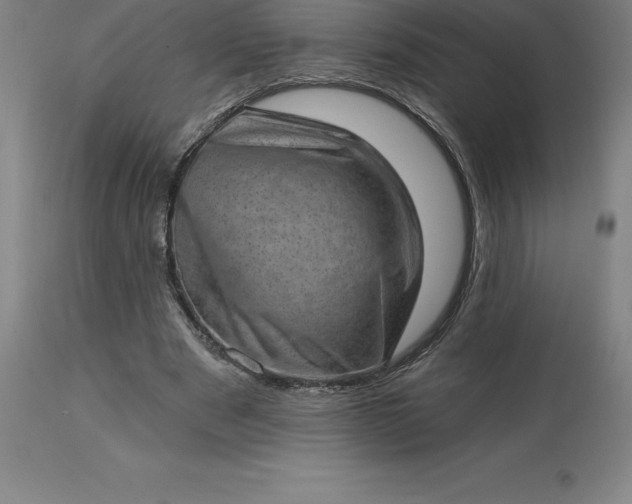 X0000113630489200910021855
