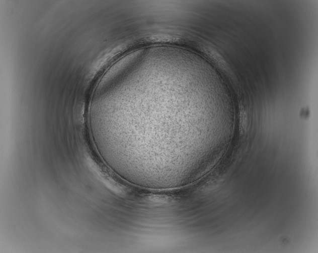 X0000113630490200910021855