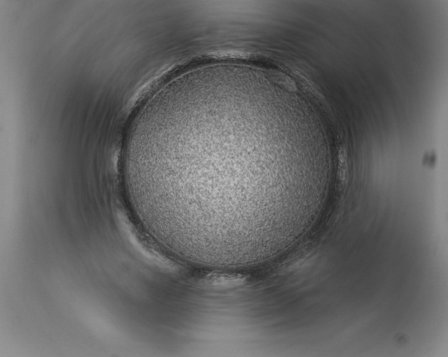 X0000113630491200910021855