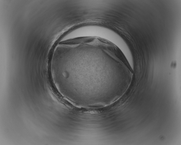 X0000113630492200910021855