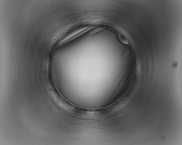 X0000113630493200910021855