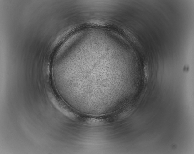 X0000113630494200910021855