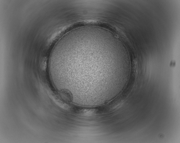 X0000113630495200910021855