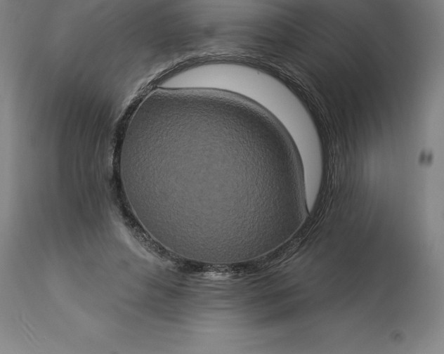 X0000113630496200910021855