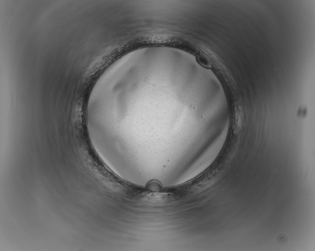 X0000113630497200910021855