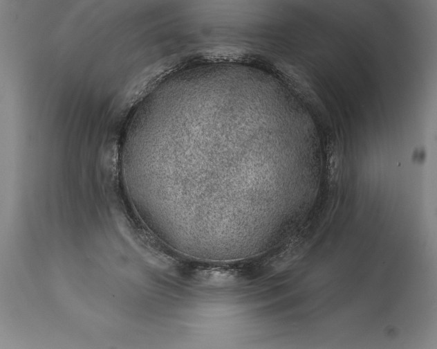 X0000113630498200910021855