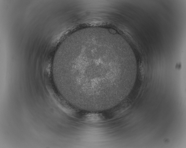 X0000113630499200910021855