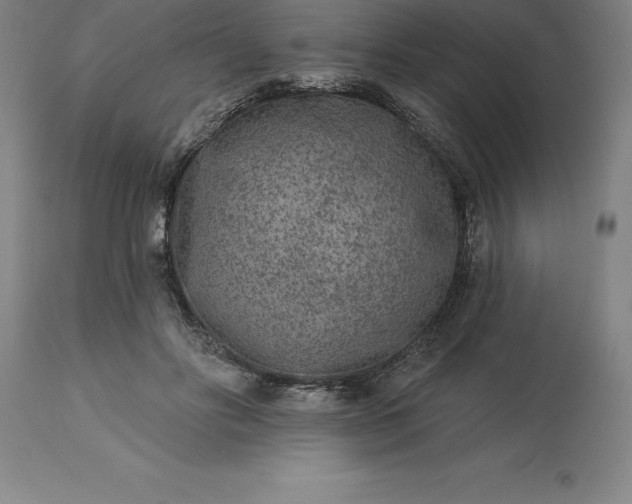 X0000113630502200910021855